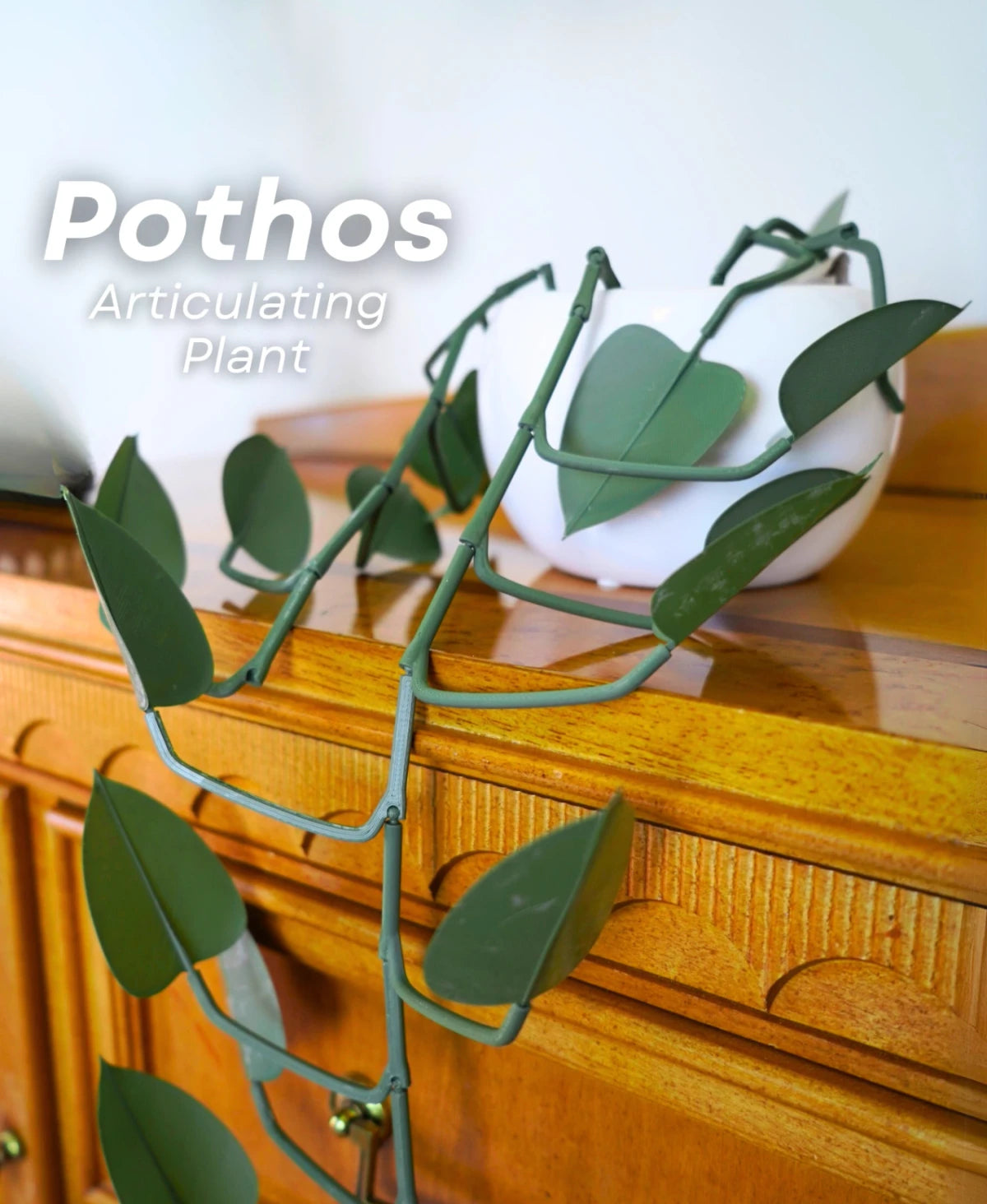 Pothos - Articulating Hanging Plant