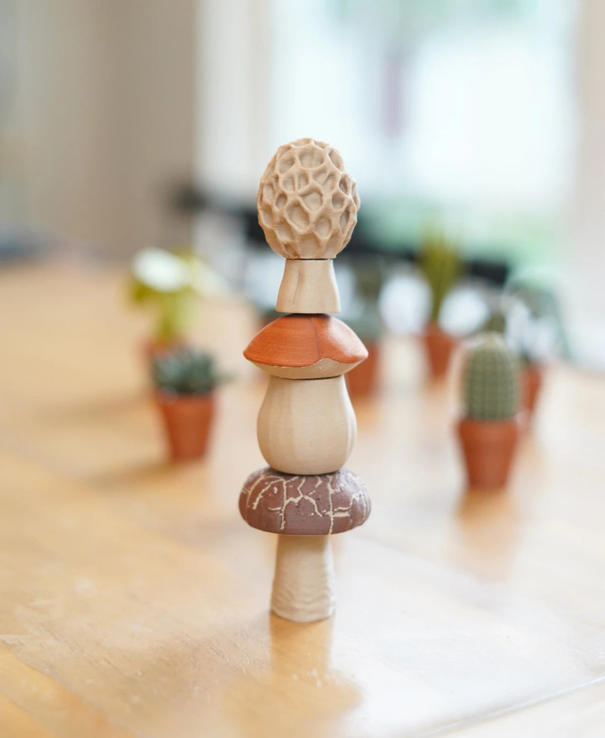 Magnetic Mushrooms - Penny Bun, Morel & Shiitake Fidget Set