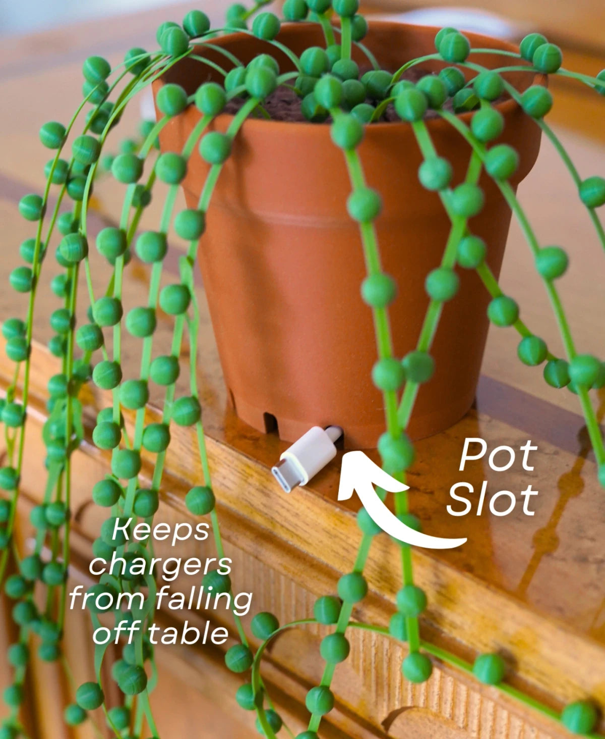 String of Pearls - Cable Tie Plant