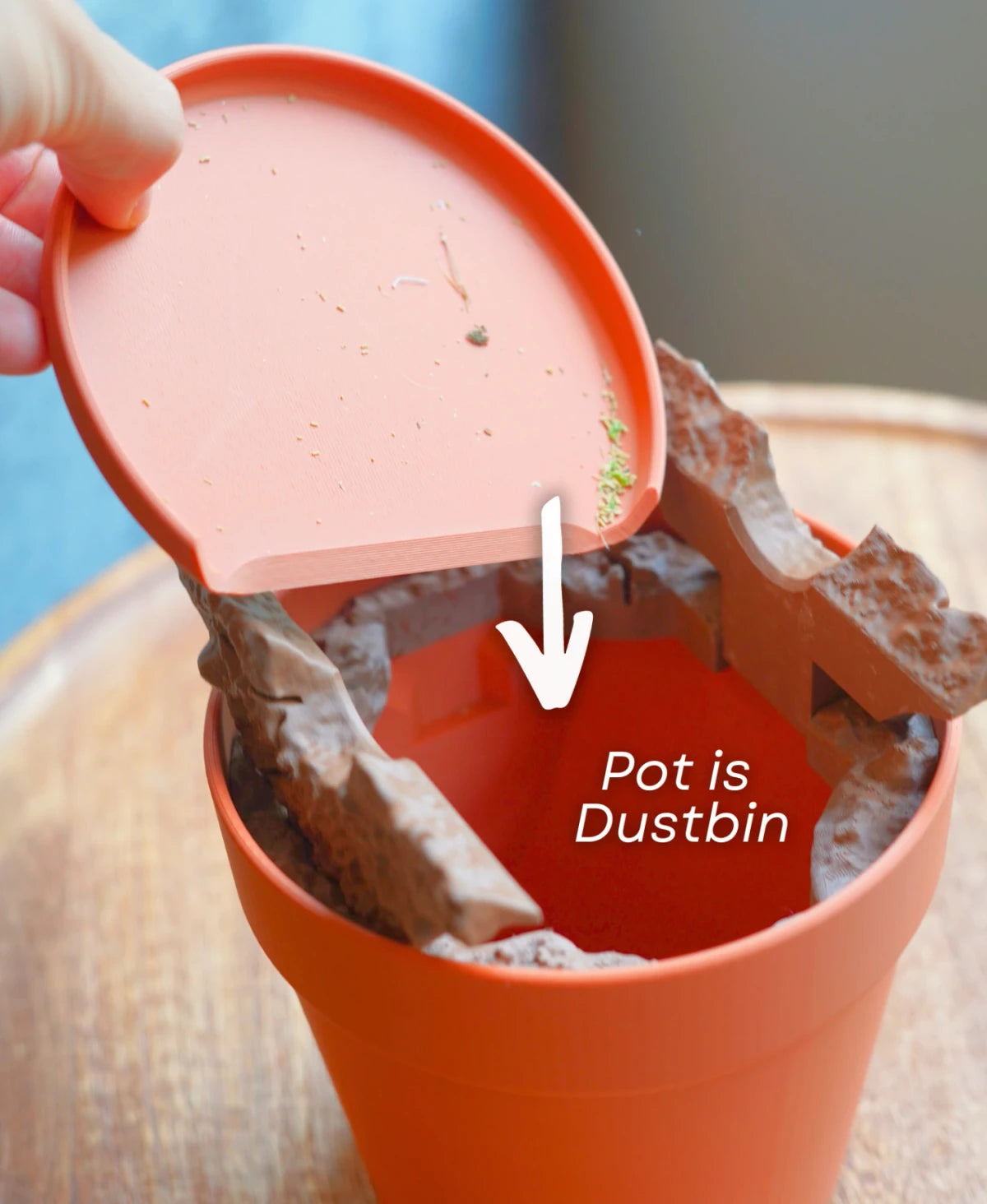 Dust Free Dragon Tree - Plant That's a Cleaning Kit