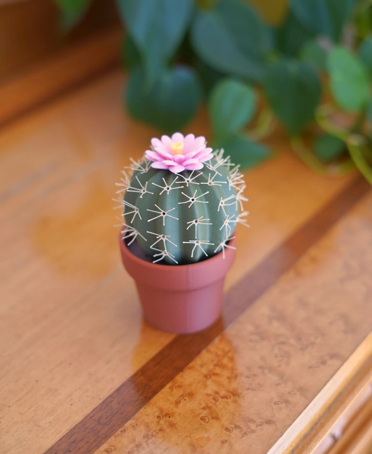 Spikey Spices - Cactus Salt & Pepper Shaker