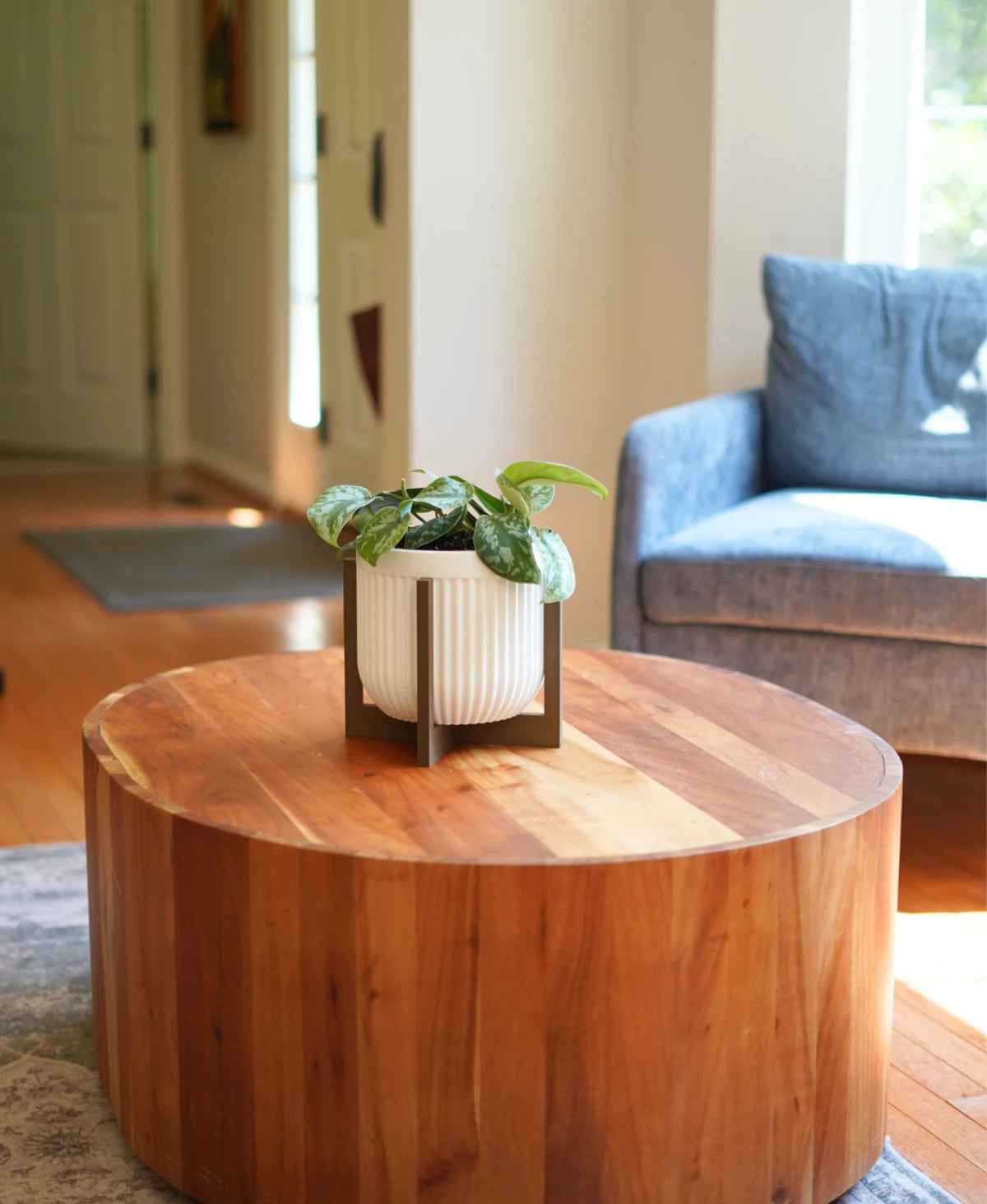 Cedar Pot