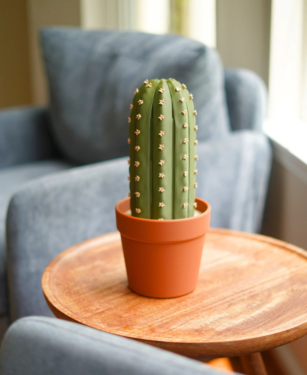 Cactichess - Cactus Chess Set in a Pot