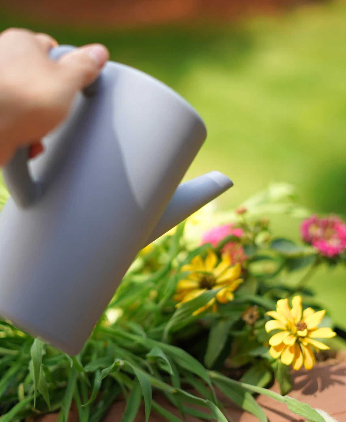 Heron Watering Can