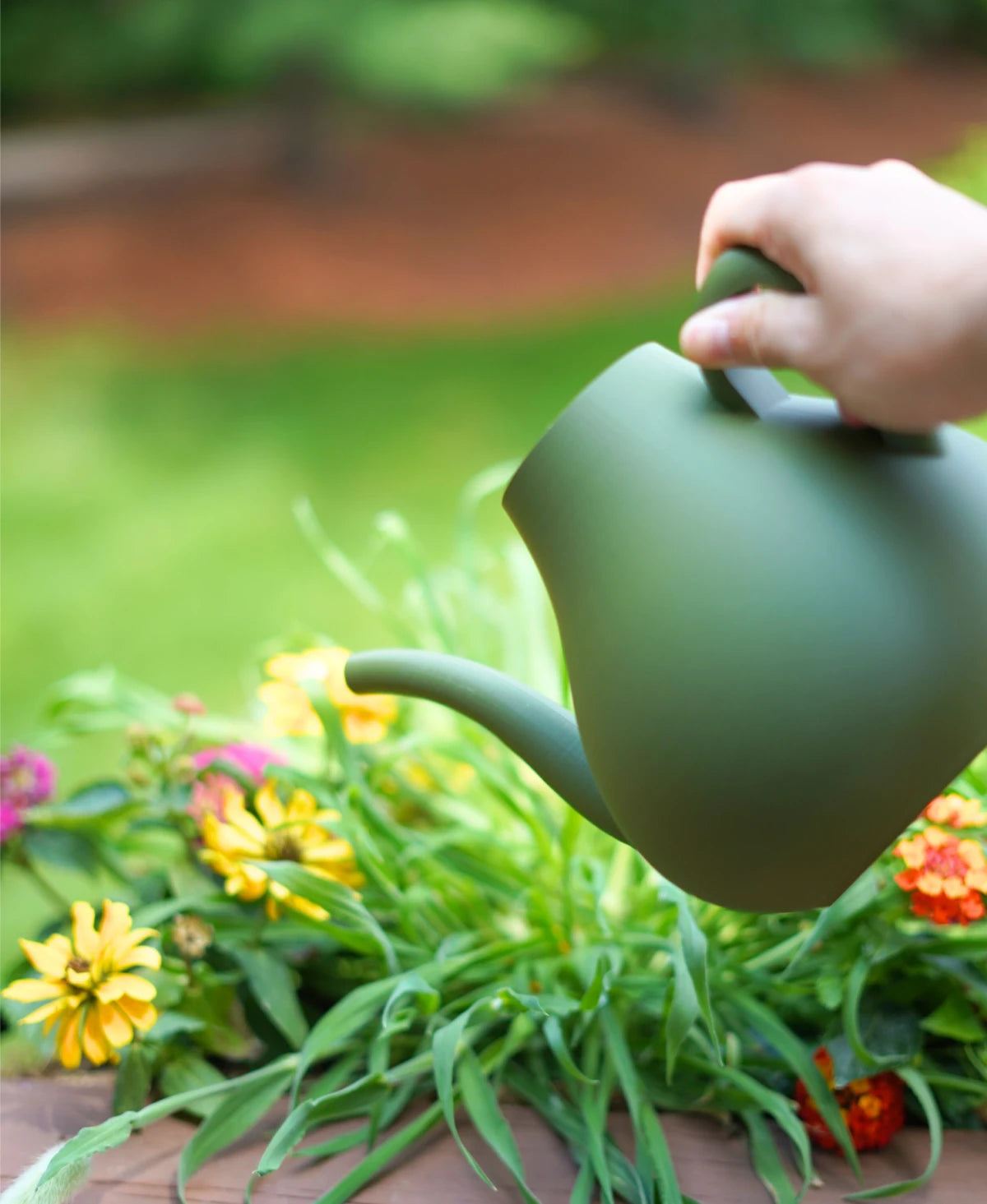 Brook Watering Can