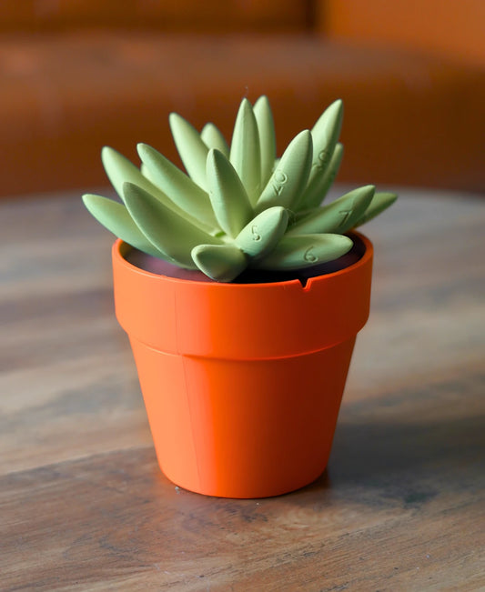 Succulent Clock - 3-Tier Plant Wall Clock