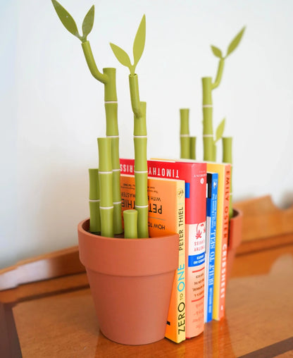Bambookends - Bamboo Plant Bookend with Office Supplies