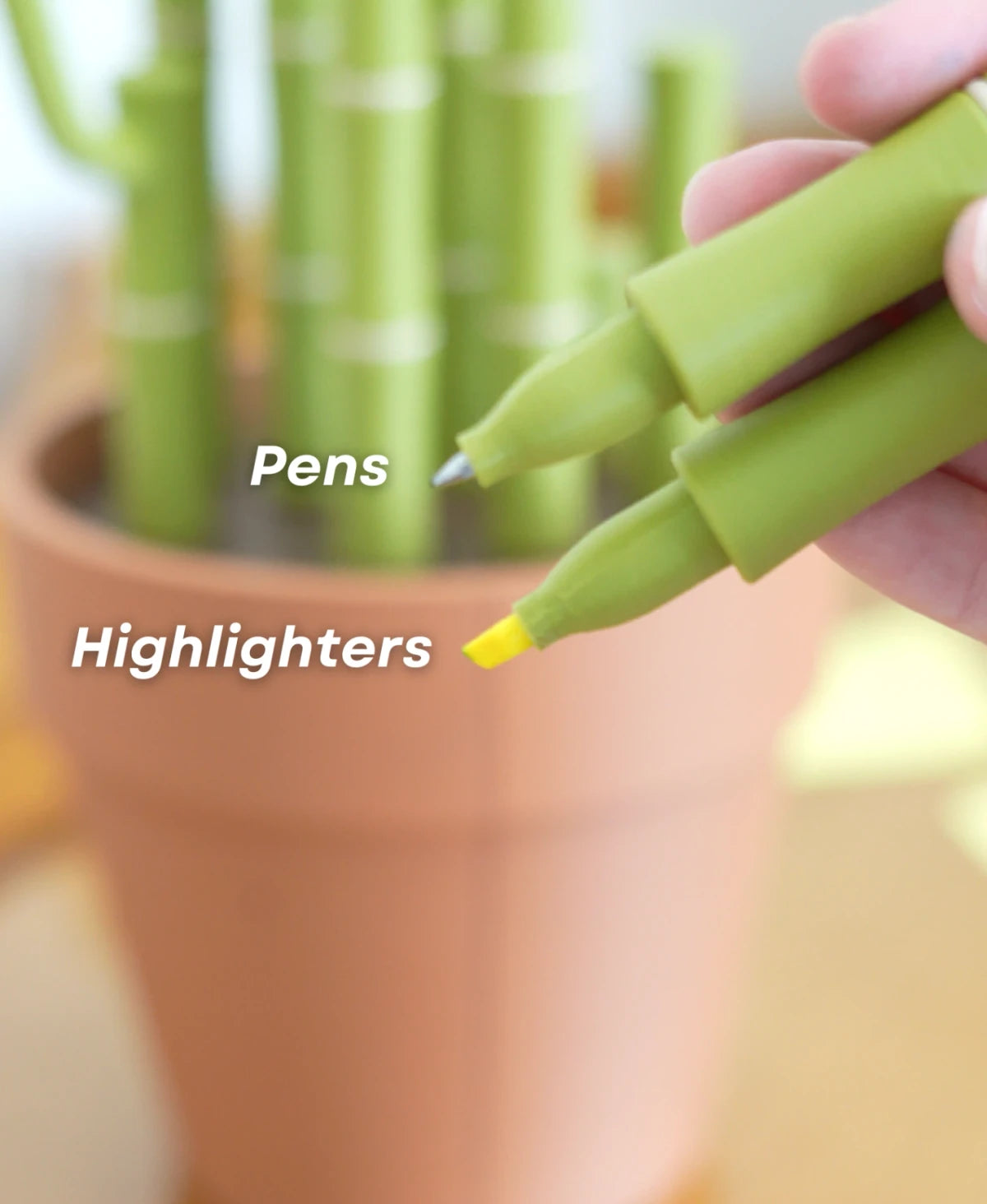 Bambookends - Bamboo Plant Bookend with Office Supplies