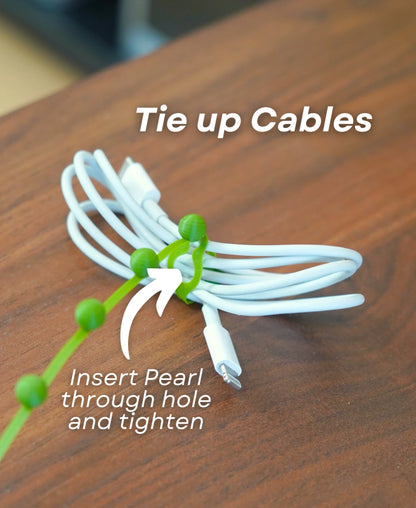 String of Pearls - Cable Tie Plant