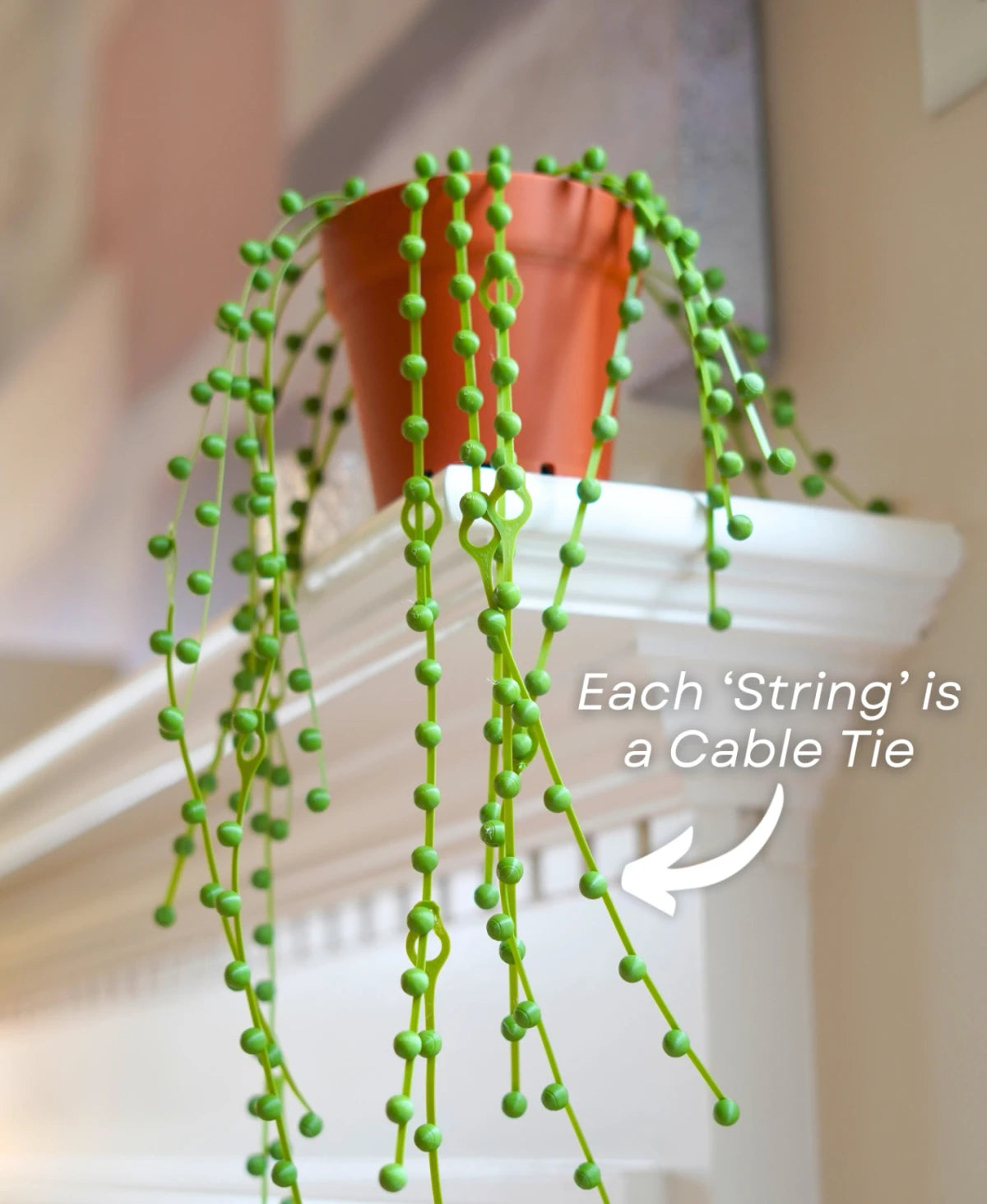 String of Pearls - Cable Tie Plant