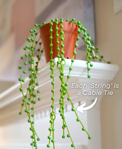 String of Pearls - Cable Tie Plant