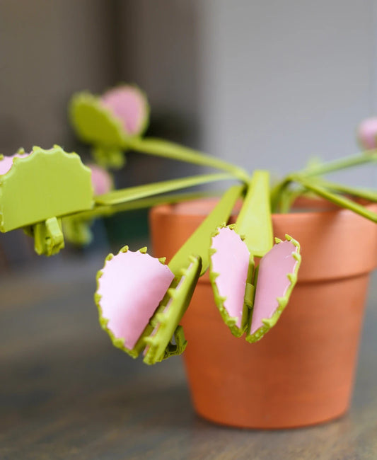 Venus Snacktrap - Bag Clip Plant