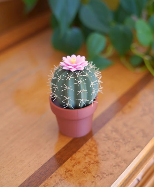 Spikey Spices - Cactus Salt & Pepper Shaker