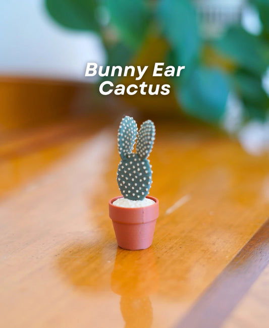 Clicky Cacti - Bunny Ear, Flower Crown & Four Prong Set