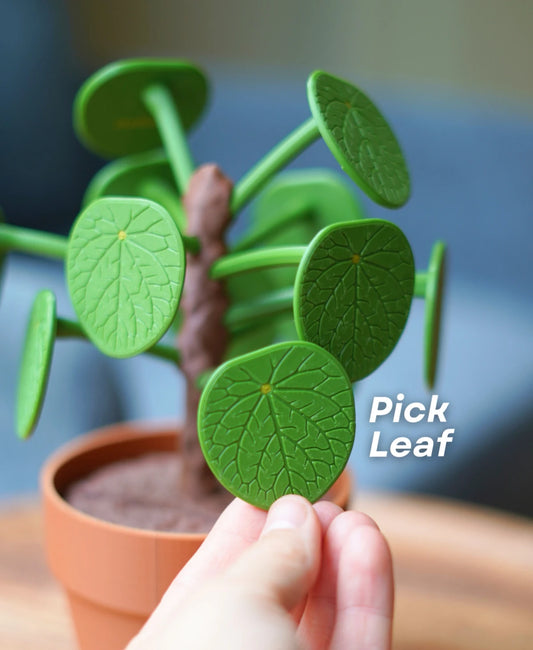 Pilea Food Picker - Spin-to-Decide Dinner Plant