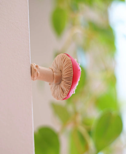 Magnetic Mushrooms - Chanterelle, Fly Agaric & Wrinkled Peach