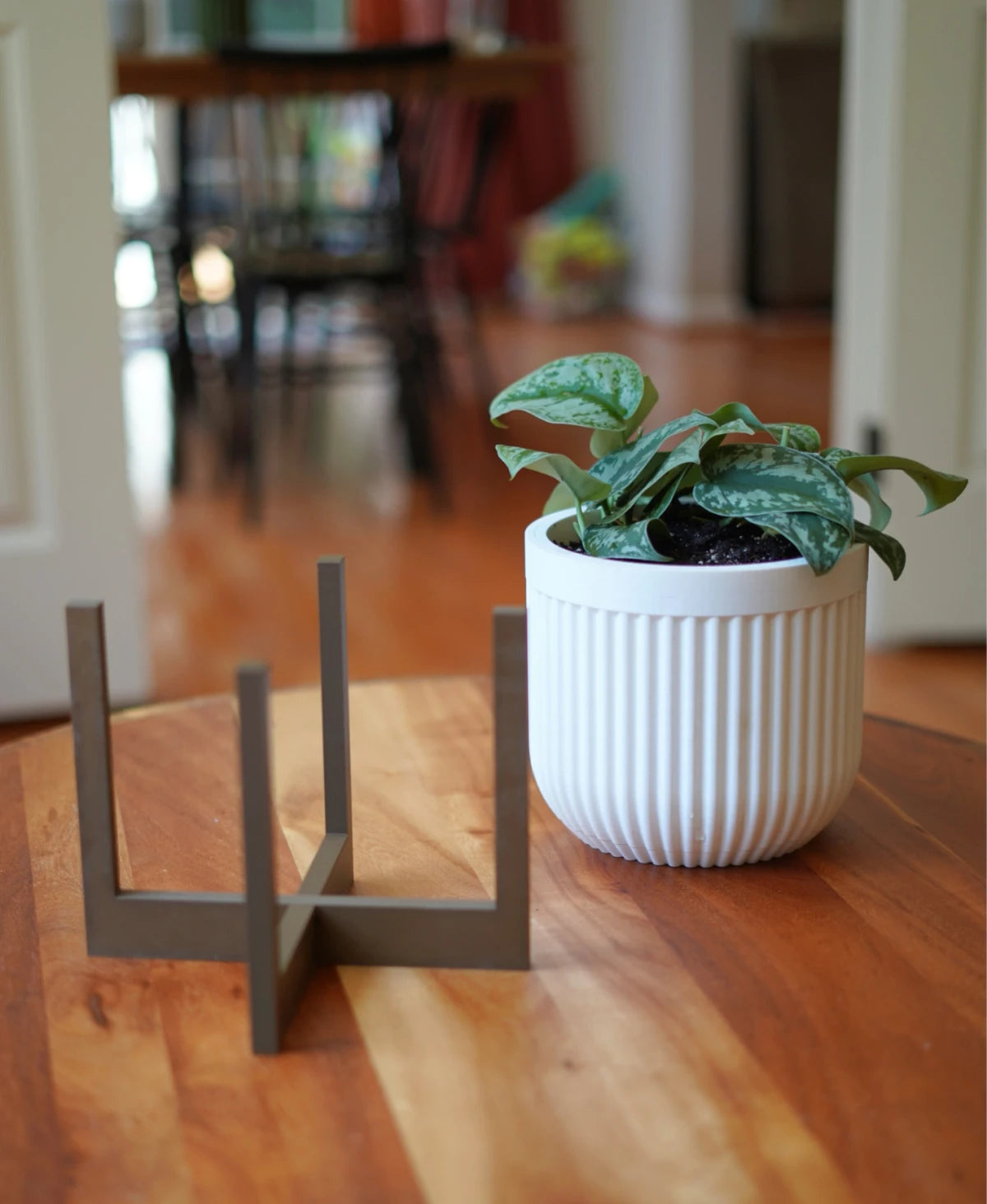 Cedar Pot