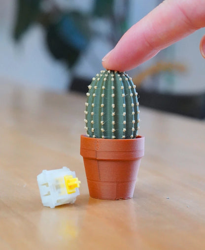 Clicky Cacti - Mechanical Switch Desk Fidget