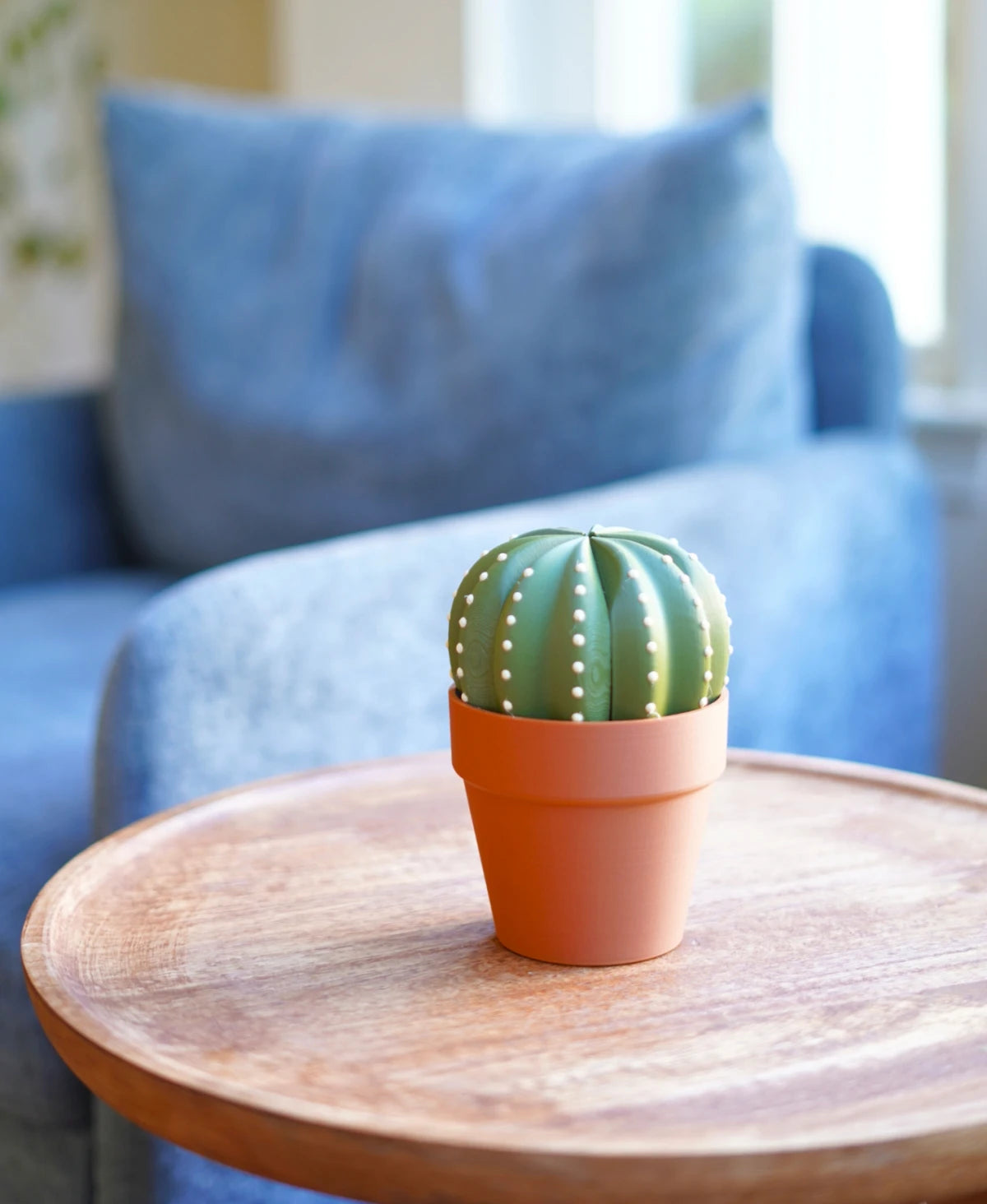 Smactus Cactus - Pop-Up Cactus Coaster