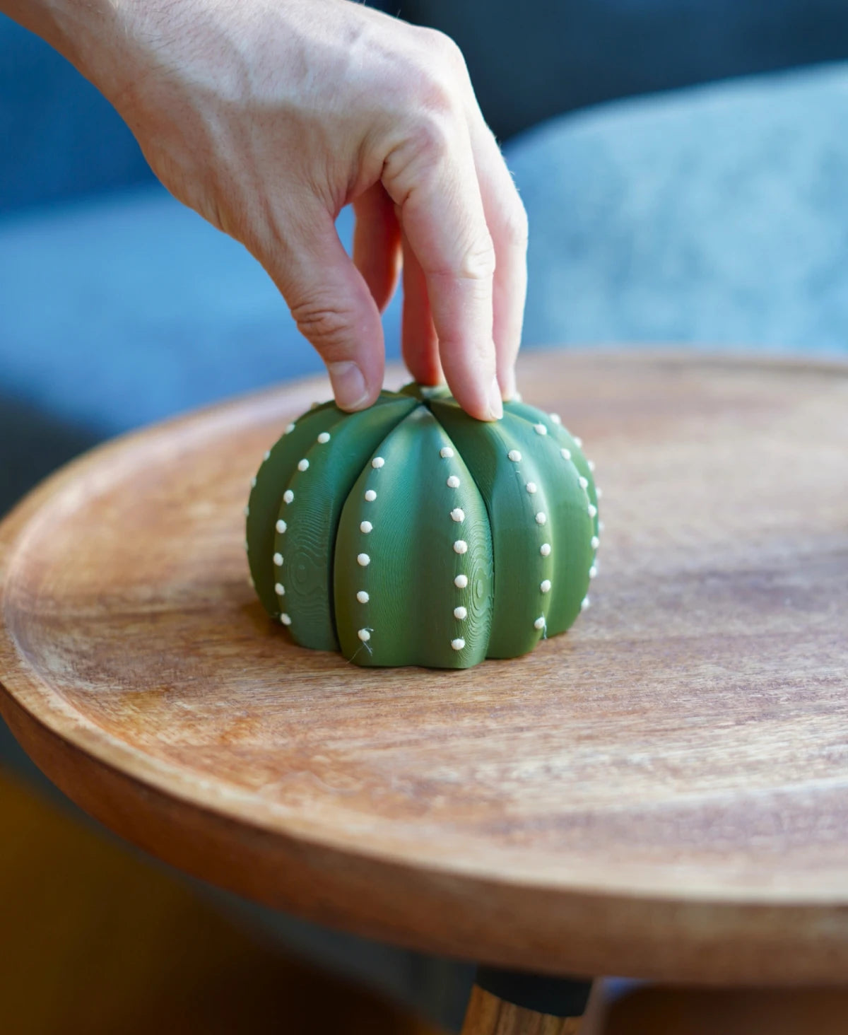 Smactus Cactus - Pop-Up Cactus Coaster