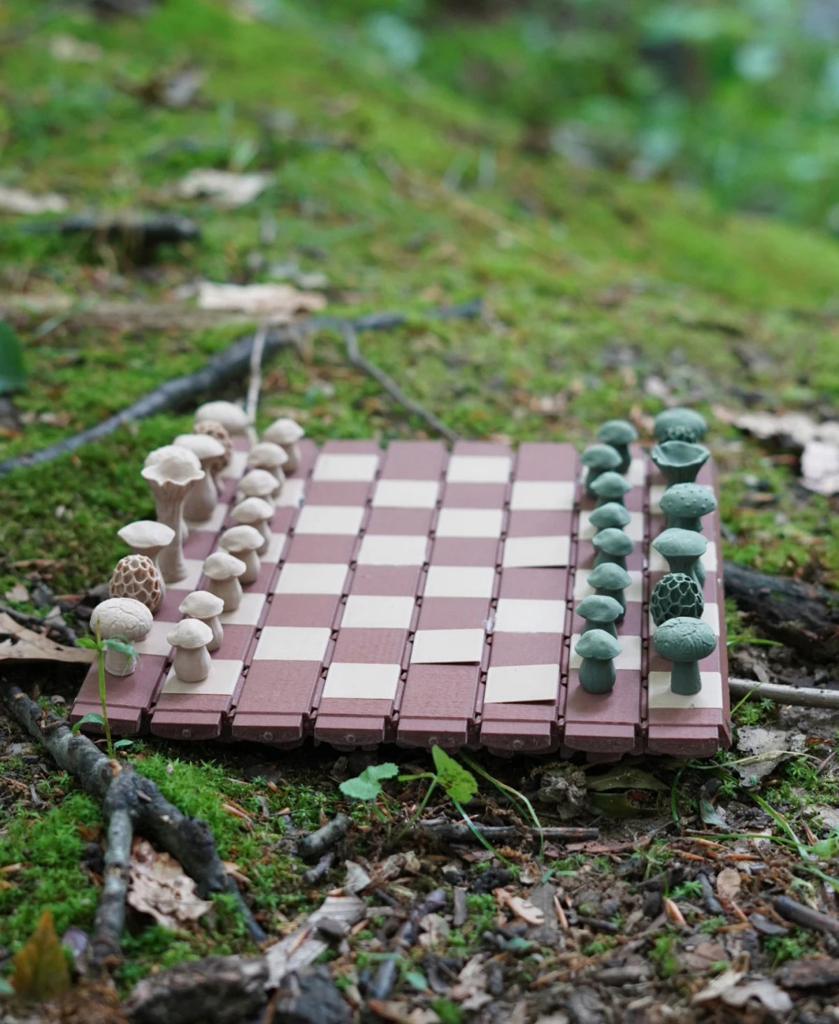 Forest Chess Set - Mushroom Pieces in a Log