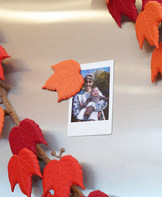 Boston Ivy Fridge Magnet - Fall Edition
