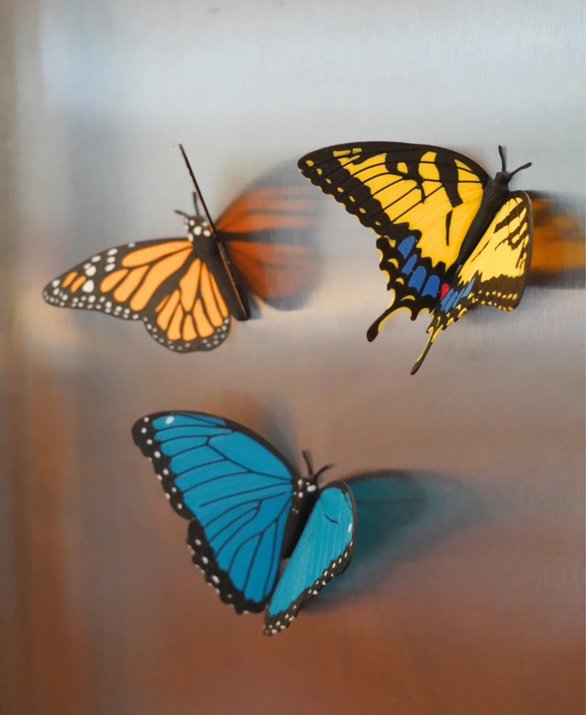 Butterfly Fridge Magnets - Monarch, Swallowtail & Blue Morpho
