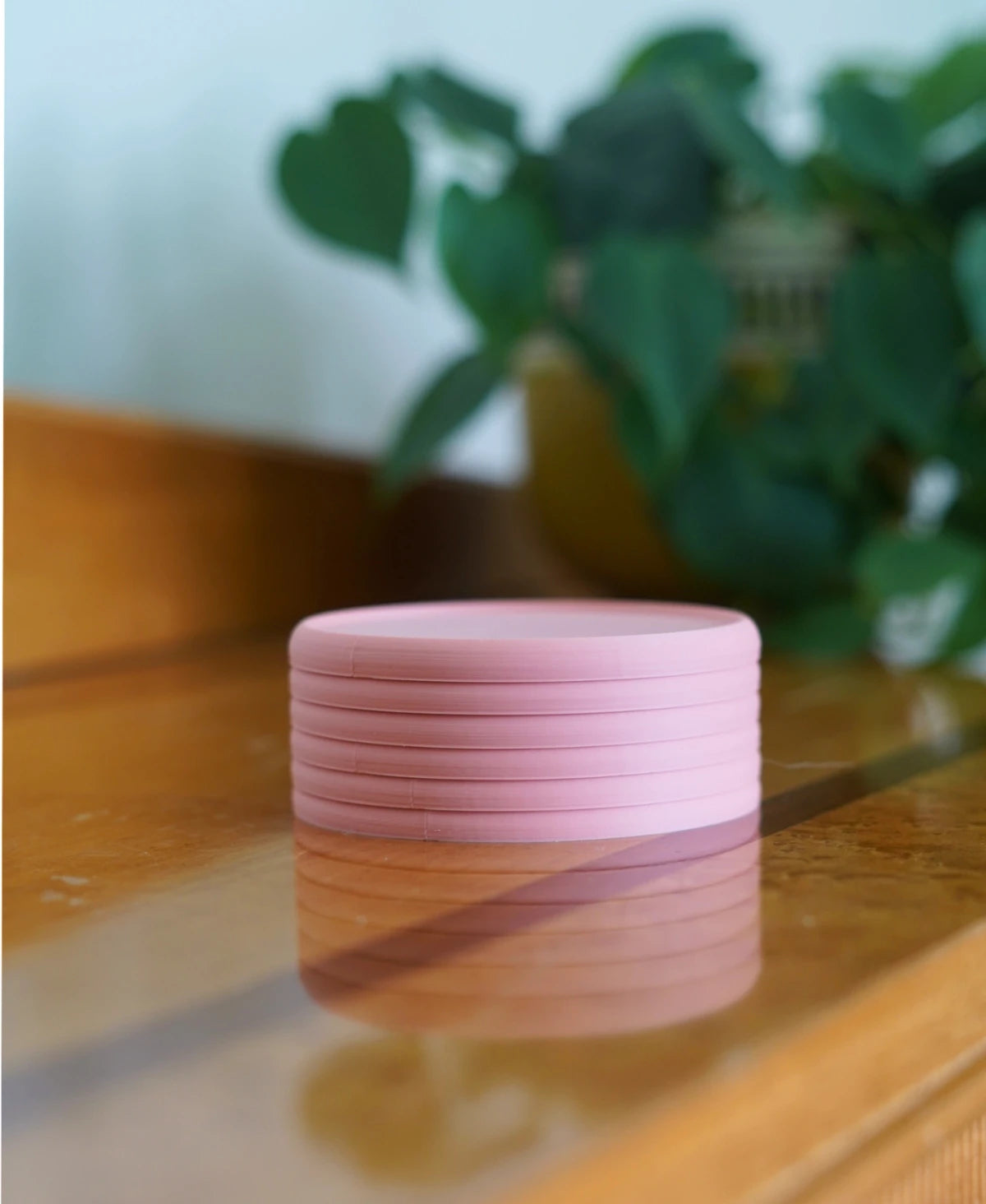 Shell Coasters