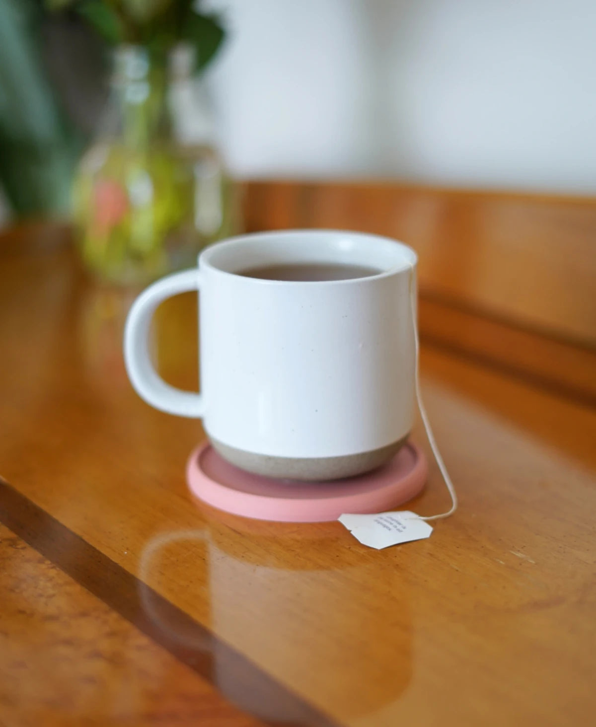 Shell Coasters