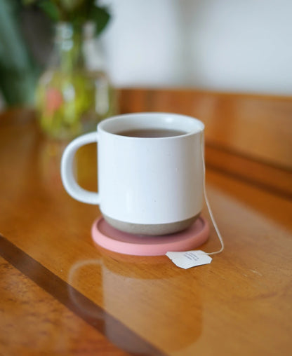 Shell Coasters