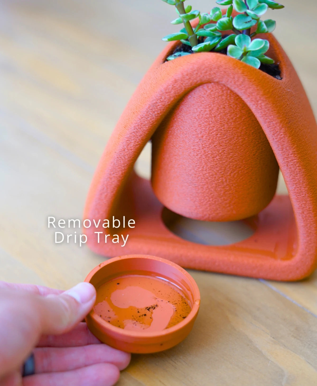 Pebble Pot