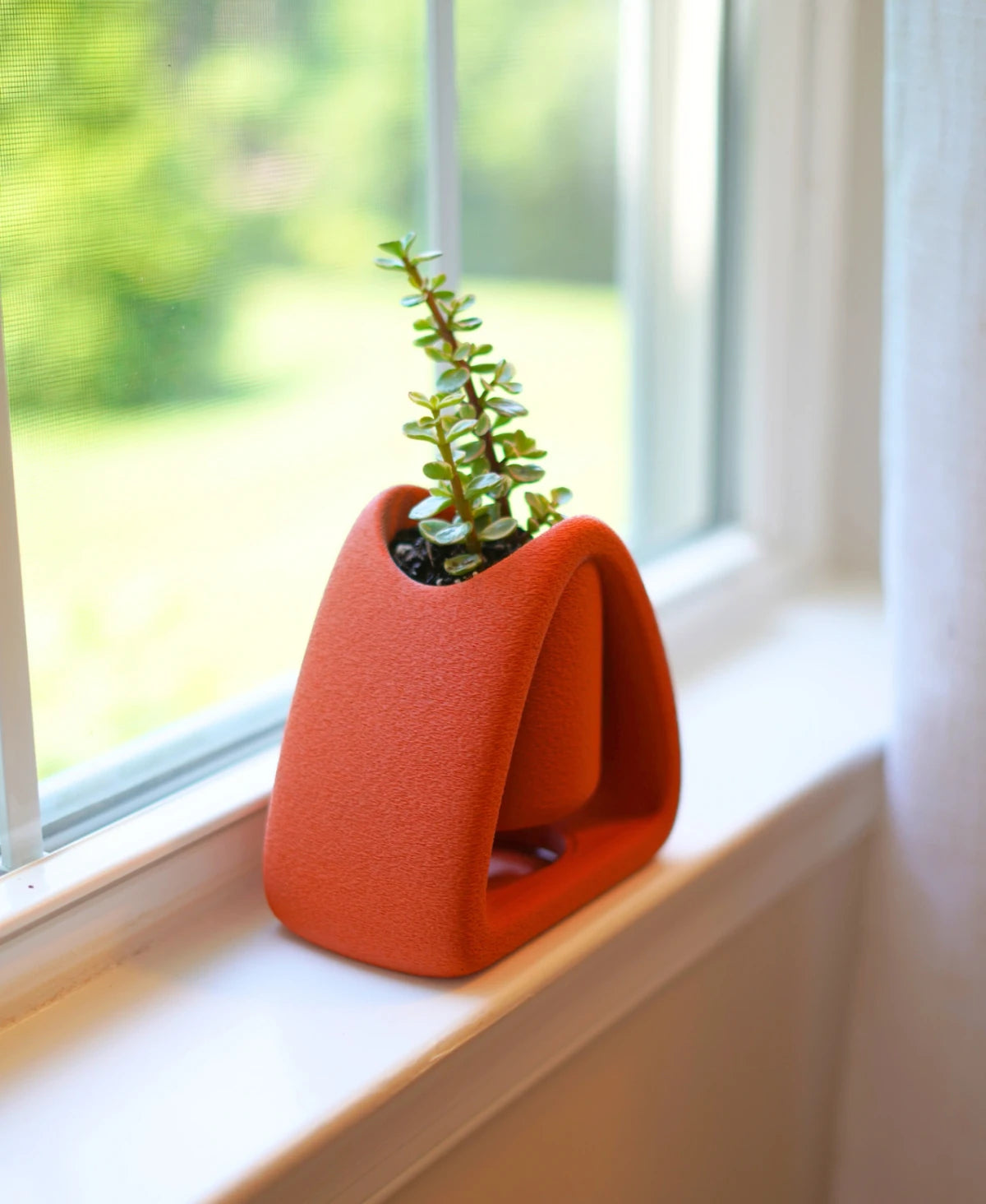 Pebble Pot