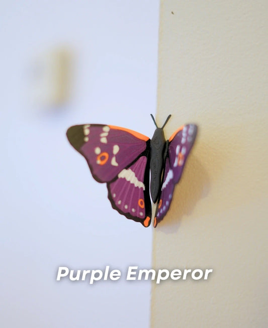 Butterfly Fridge Magnets - Birdwing, Sawtooth & Emperor