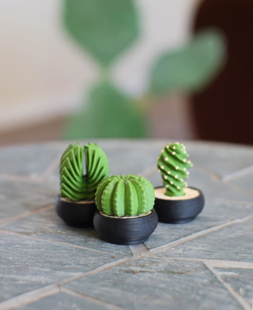 Spinny Succulents Pack III - alt view