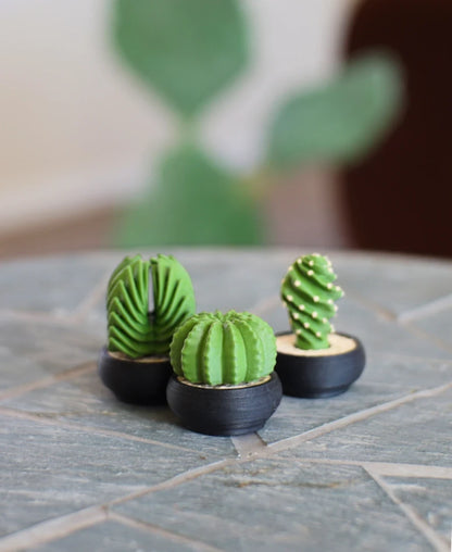 Spinny Succulents Pack III - alt view