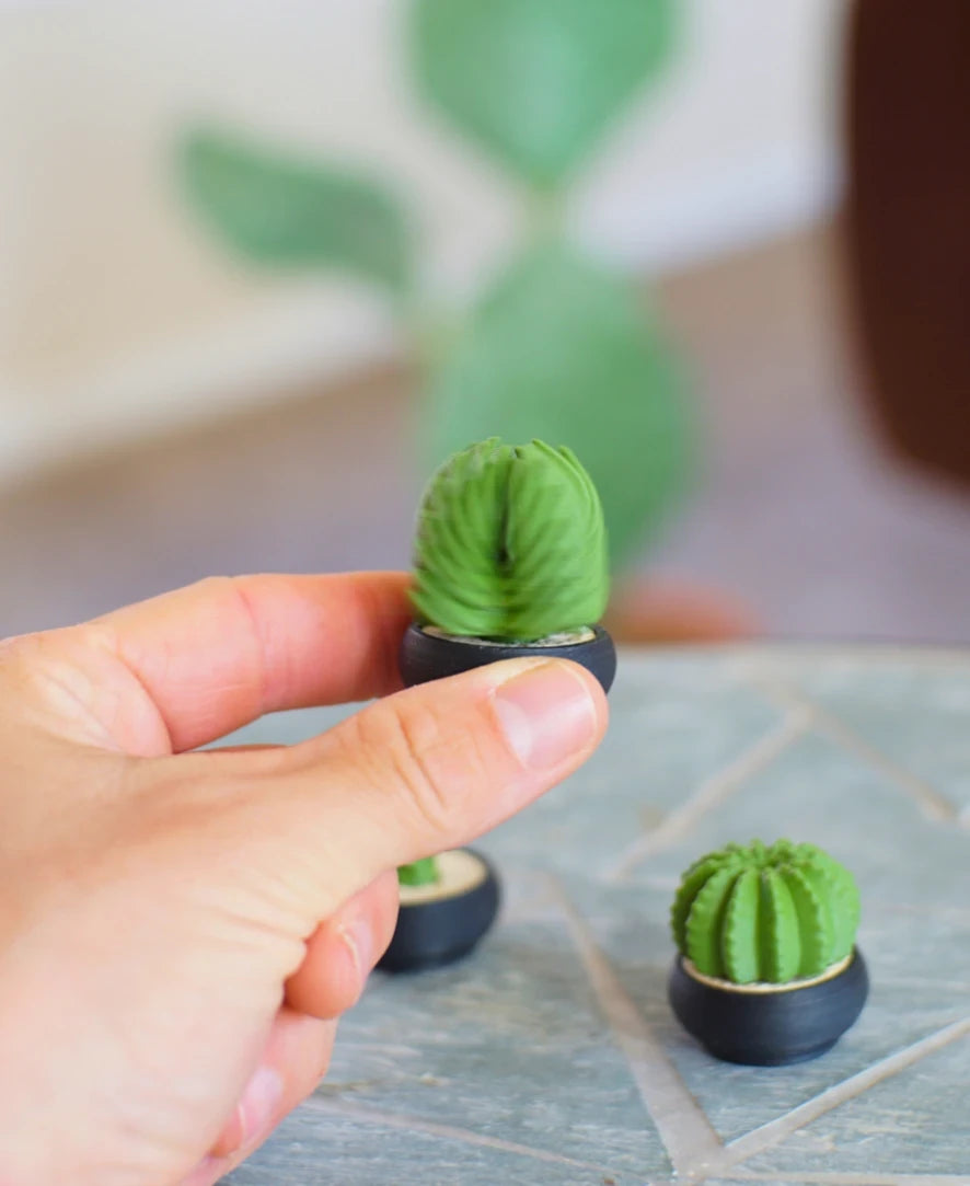 Spinny Succulents Pack III - alt view